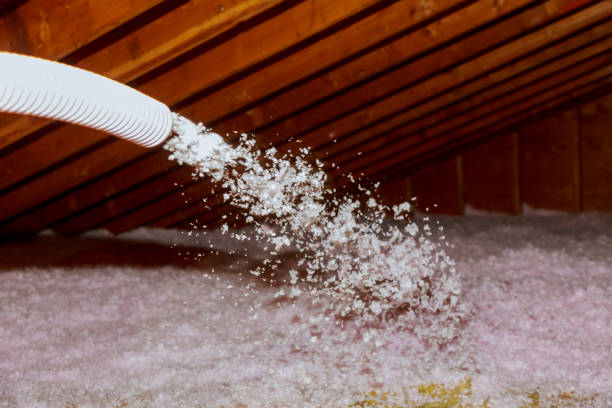 Best Professional Insulation Contractor  in Spencerport, NY