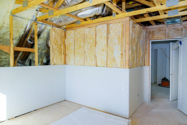 Best Insulation Removal Services  in Spencerport, NY
