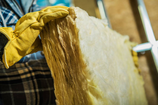 Best Insulation Contractor Near Me  in Spencerport, NY